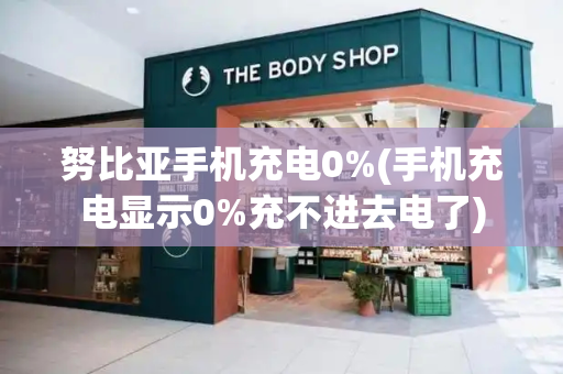 努比亚手机充电0%(手机充电显示0%充不进去电了)-第1张图片-星选测评