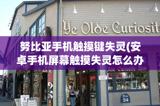 努比亚手机触摸键失灵(安卓手机屏幕触摸失灵怎么办)-第1张图片-星选测评