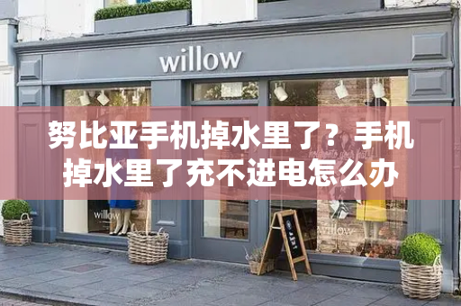 努比亚手机掉水里了？手机掉水里了充不进电怎么办