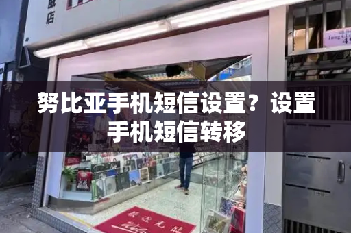 努比亚手机短信设置？设置手机短信转移-第1张图片-星选测评
