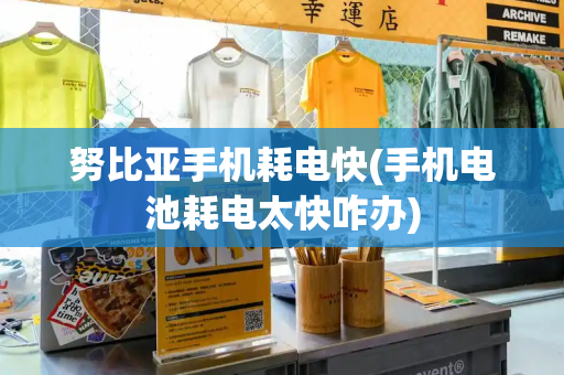 努比亚手机耗电快(手机电池耗电太快咋办)