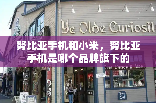 努比亚手机和小米，努比亚手机是哪个品牌旗下的-第1张图片-星选测评