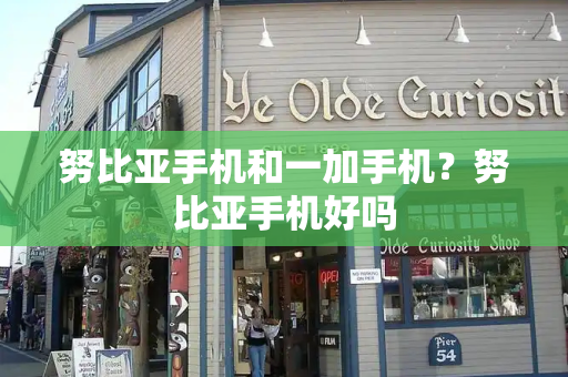 努比亚手机和一加手机？努比亚手机好吗-第1张图片-星选测评