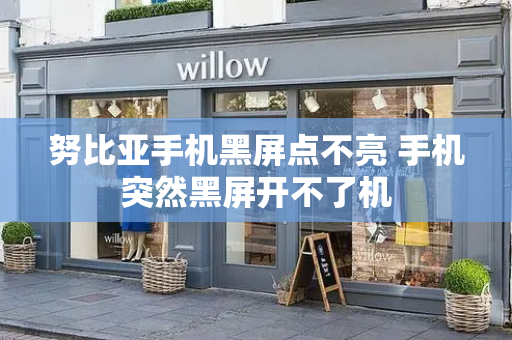 努比亚手机黑屏点不亮 手机突然黑屏开不了机-第1张图片-星选测评
