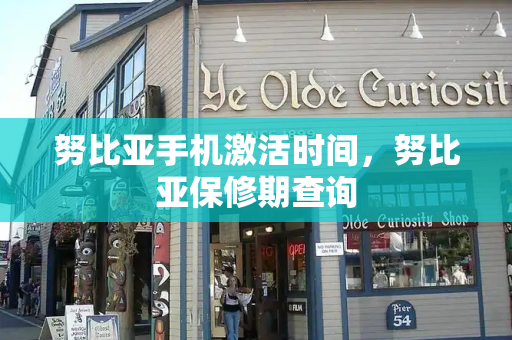 努比亚手机激活时间，努比亚保修期查询-第1张图片-星选测评
