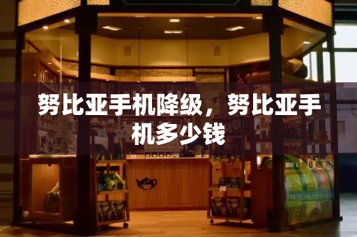 努比亚手机降级，努比亚手机多少钱-第1张图片-星选测评