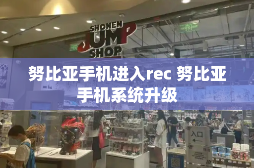 努比亚手机进入rec 努比亚手机系统升级-第1张图片-星选测评