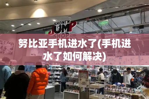 努比亚手机进水了(手机进水了如何解决)