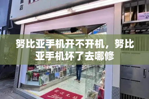 努比亚手机开不开机，努比亚手机坏了去哪修-第1张图片-星选测评