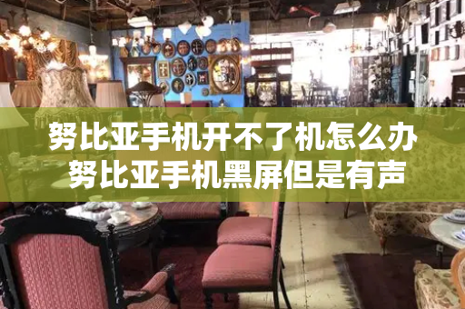 努比亚手机开不了机怎么办 努比亚手机黑屏但是有声音-第1张图片-星选测评