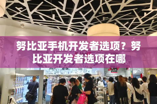努比亚手机开发者选项？努比亚开发者选项在哪