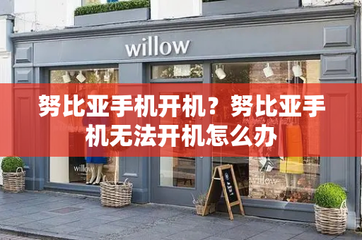 努比亚手机开机？努比亚手机无法开机怎么办-第1张图片-星选测评