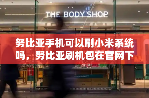 努比亚手机可以刷小米系统吗，努比亚刷机包在官网下载-第1张图片-星选测评