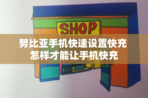努比亚手机快速设置快充 怎样才能让手机快充-第1张图片-星选测评