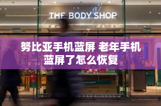 努比亚手机蓝屏 老年手机蓝屏了怎么恢复