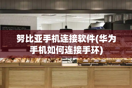 努比亚手机连接软件(华为手机如何连接手环)-第1张图片-星选测评
