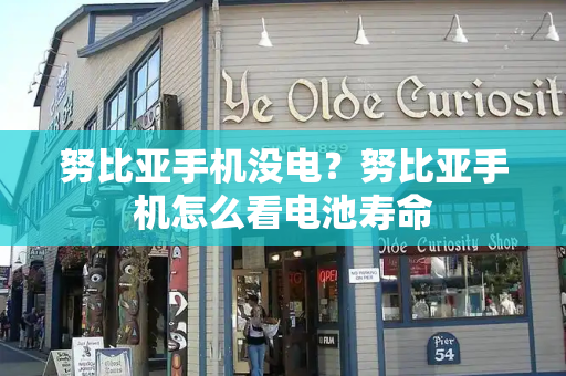 努比亚手机没电？努比亚手机怎么看电池寿命-第1张图片-星选测评