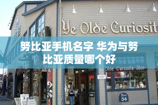 努比亚手机名字 华为与努比亚质量哪个好-第1张图片-星选测评