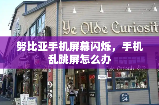 努比亚手机屏幕闪烁，手机乱跳屏怎么办-第1张图片-星选测评
