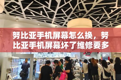 努比亚手机屏幕怎么换，努比亚手机屏幕坏了维修要多少钱-第1张图片-星选测评