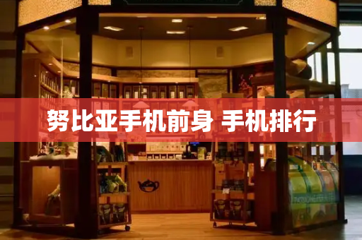 努比亚手机前身 手机排行-第1张图片-星选测评