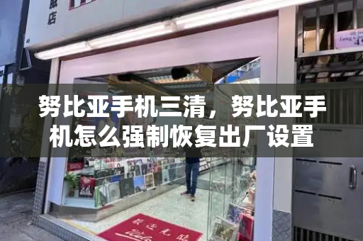 努比亚手机三清，努比亚手机怎么强制恢复出厂设置