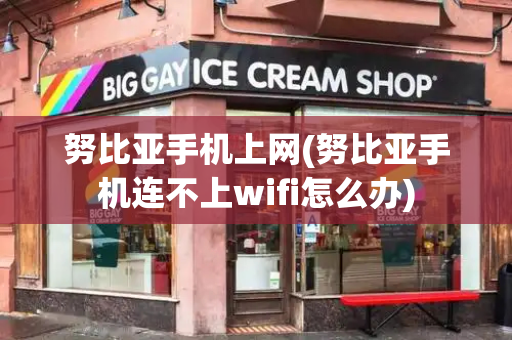 努比亚手机上网(努比亚手机连不上wifi怎么办)-第1张图片-星选测评