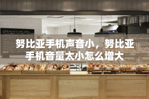 努比亚手机声音小，努比亚手机音量太小怎么增大-第1张图片-星选测评