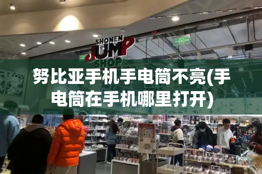 努比亚手机手电筒不亮(手电筒在手机哪里打开)-第1张图片-星选测评