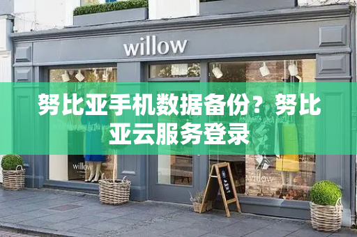努比亚手机数据备份？努比亚云服务登录