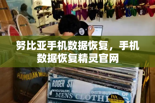 努比亚手机数据恢复，手机数据恢复精灵官网-第1张图片-星选测评
