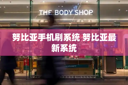 努比亚手机刷系统 努比亚最新系统-第1张图片-星选测评