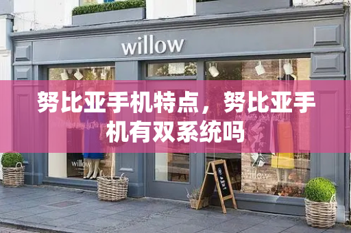 努比亚手机特点，努比亚手机有双系统吗