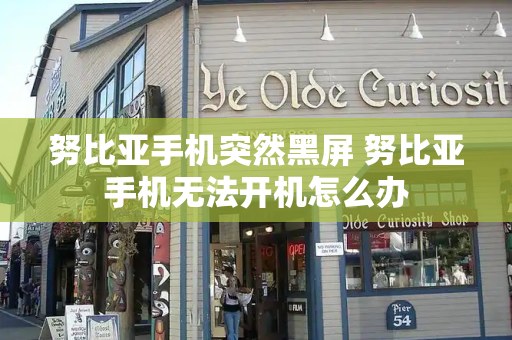 努比亚手机突然黑屏 努比亚手机无法开机怎么办-第1张图片-星选测评