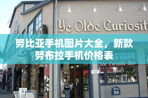 努比亚手机图片大全，新款努布拉手机价格表