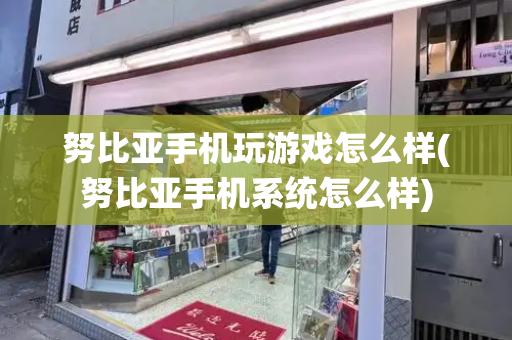 努比亚手机玩游戏怎么样(努比亚手机系统怎么样)-第1张图片-星选测评