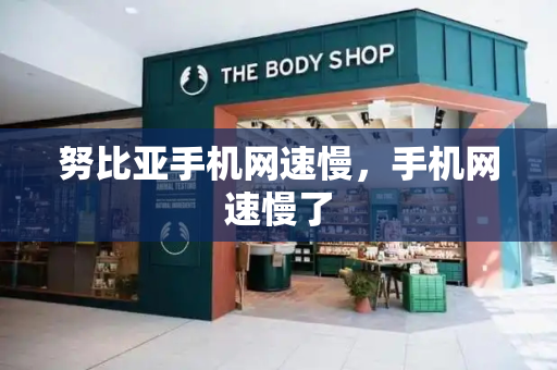 努比亚手机网速慢，手机网速慢了-第1张图片-星选测评