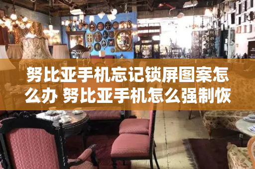 努比亚手机忘记锁屏图案怎么办 努比亚手机怎么强制恢复出厂设置-第1张图片-星选测评