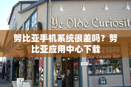 努比亚手机系统很差吗？努比亚应用中心下载-第1张图片-星选测评