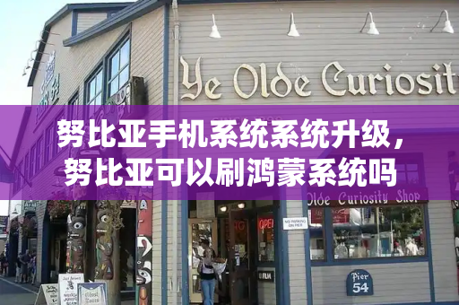 努比亚手机系统系统升级，努比亚可以刷鸿蒙系统吗