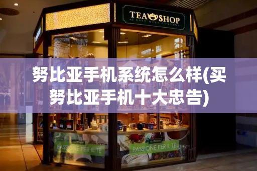 努比亚手机系统怎么样(买努比亚手机十大忠告)-第1张图片-星选测评