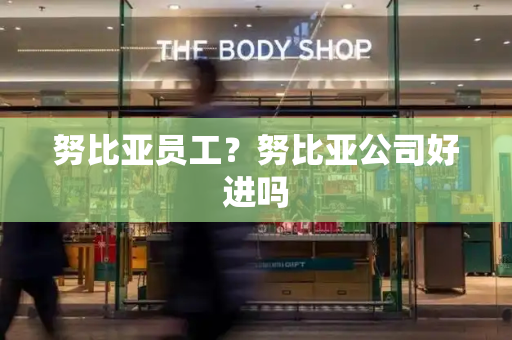 努比亚员工？努比亚公司好进吗