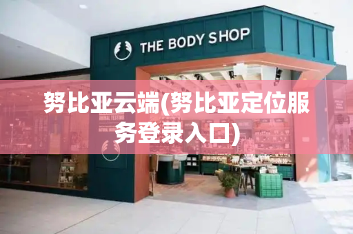 努比亚云端(努比亚定位服务登录入口)