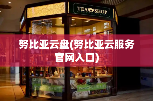 努比亚云盘(努比亚云服务官网入口)-第1张图片-星选测评
