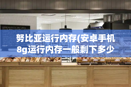 努比亚运行内存(安卓手机8g运行内存一般剩下多少)-第1张图片-星选测评