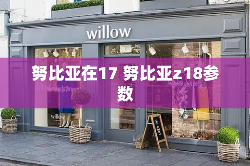 努比亚在17 努比亚z18参数