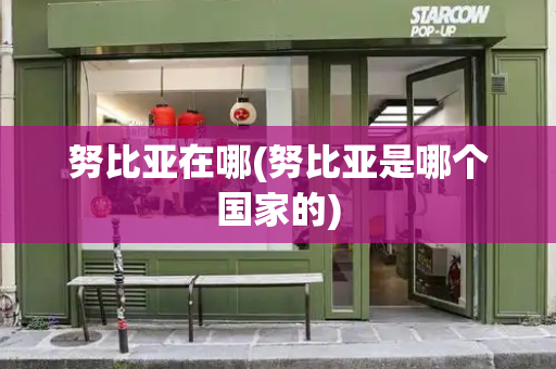 努比亚在哪(努比亚是哪个国家的)-第1张图片-星选测评