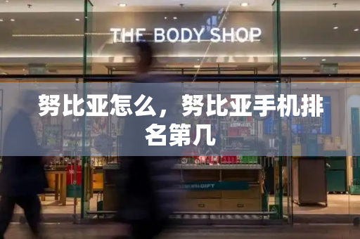 努比亚怎么，努比亚手机排名第几