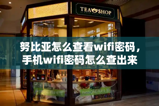 努比亚怎么查看wifi密码，手机wifi密码怎么查出来