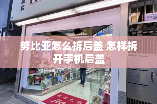 努比亚怎么拆后盖 怎样拆开手机后盖-第1张图片-星选测评